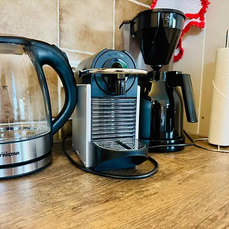 Sylter Seestern Blaue Welle Morsum (Sylt)